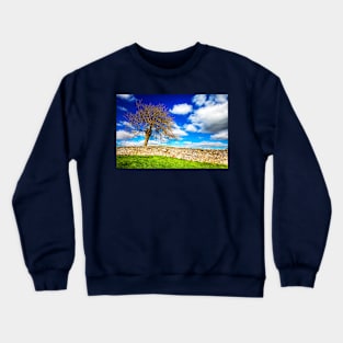 One Tree Wonder Crewneck Sweatshirt